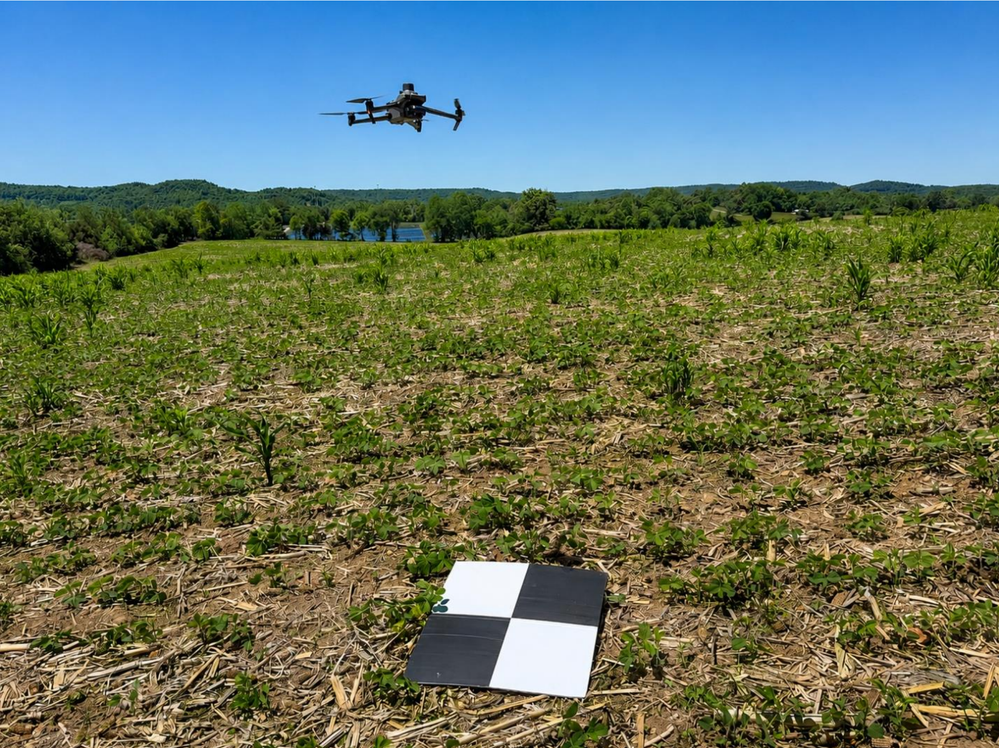 UAV-based field imaging is used to collect high-resolution images for weed identification, mapping, and precision agricultural decision-making.