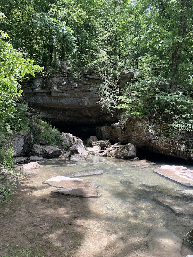 A wooded cave entrance opening onto a shallow rocky stream surrounded by exposed bedrock and dense vegetation