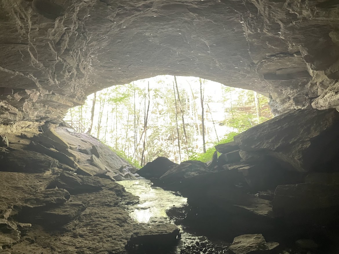 View from inside a rocky cave showing shallow water flowing toward a sunlit forest entrance